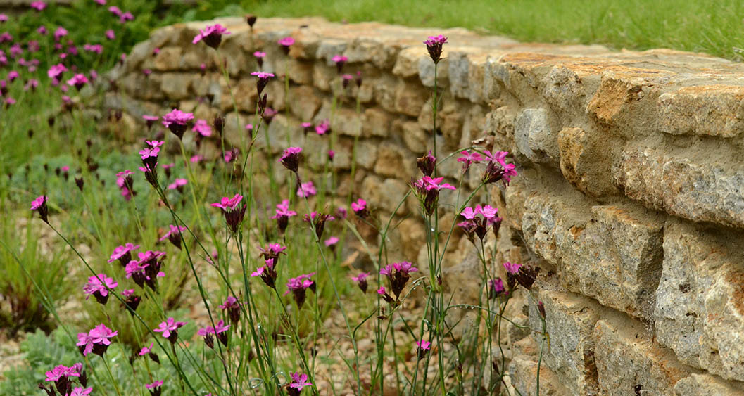 001-Rob-Hazeldean-Landscape-and-Garden-Design-Wiltshire