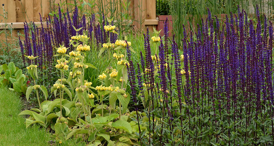 002-Rob-Hazeldean-Landscape-and-Garden-Design-Wiltshire