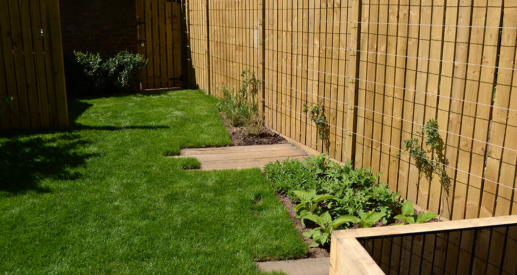 003-Rob-Hazeldean-Landscape-and-Garden-Design-Lewisham