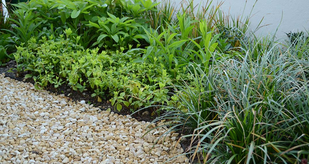 006-Rob-Hazeldean-Landscape-and-Garden-Design-Wandsworth-South-London